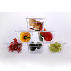 1/6 Size Polycarbonate Food Pans 4"Deep Clear - Pack of 6